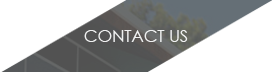 Click here to contact us!