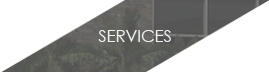The services offered by OTA Consulting