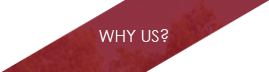 why us